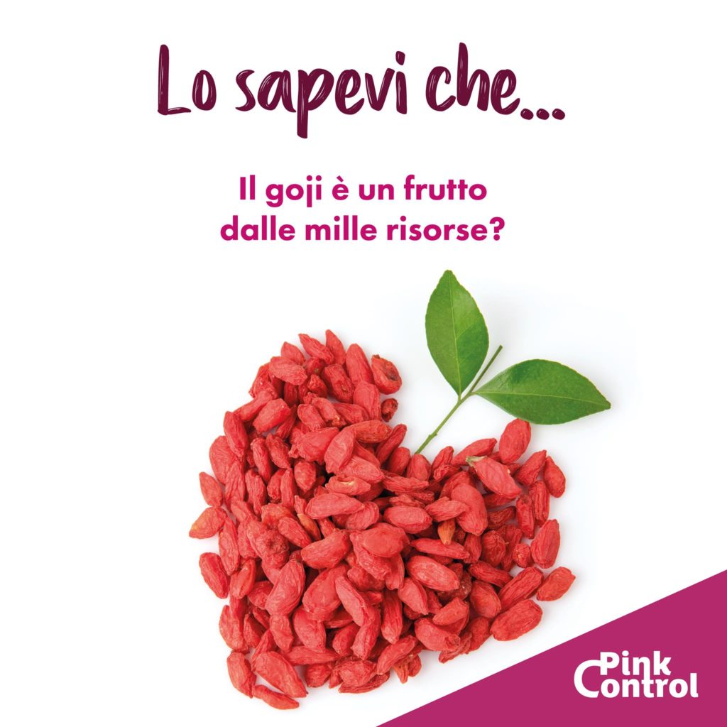 le bacche di goji sono un frutto dalle mille risorse