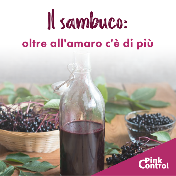 Il sambuco: oltre all'amaro c'è di più