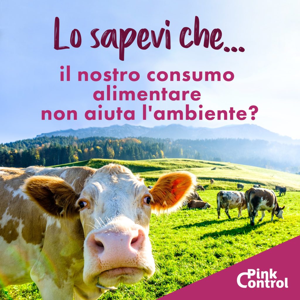 in nostro consumo alimentare non aiuta l'ambiente