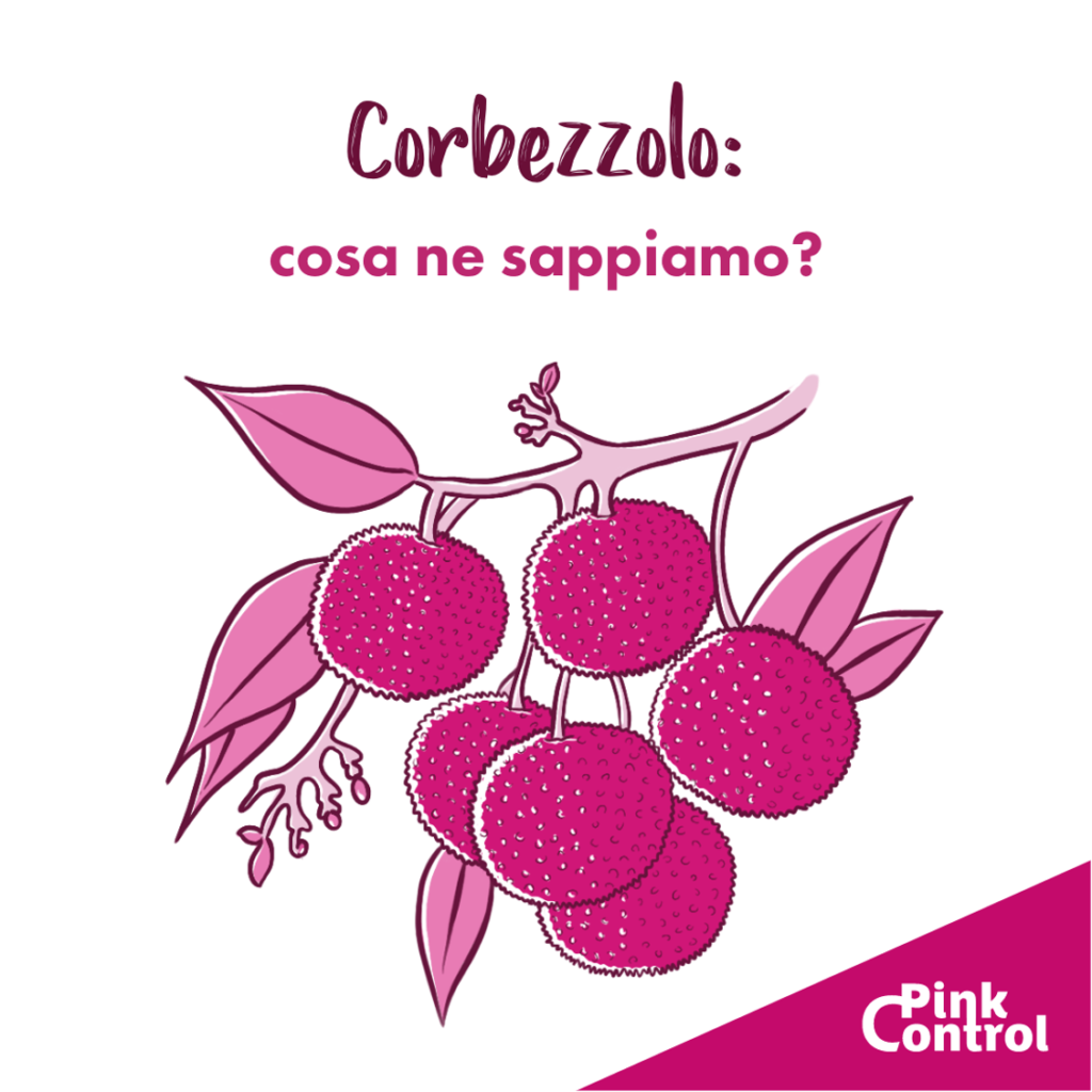 Corbezzolo: cosa ne sappiamo?