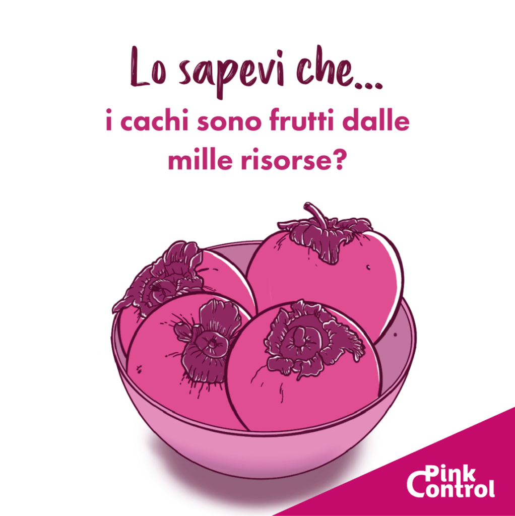 Lo sapevi che: i cachi sono frutti dalle mille risorse?